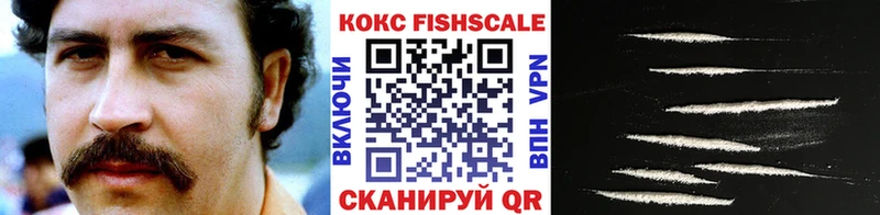 COCAIN FishScale  Медынь 