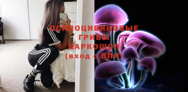 прущие крисы Приозерск