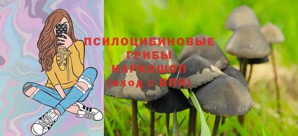 винт Алзамай