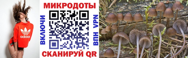 ссылка на мегу вход  Медынь  Псилоцибиновые грибы прущие грибы  закладка 
